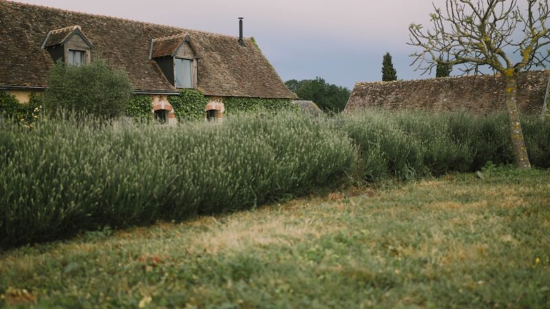 Vacances en famille dans les plus beaux villages de France