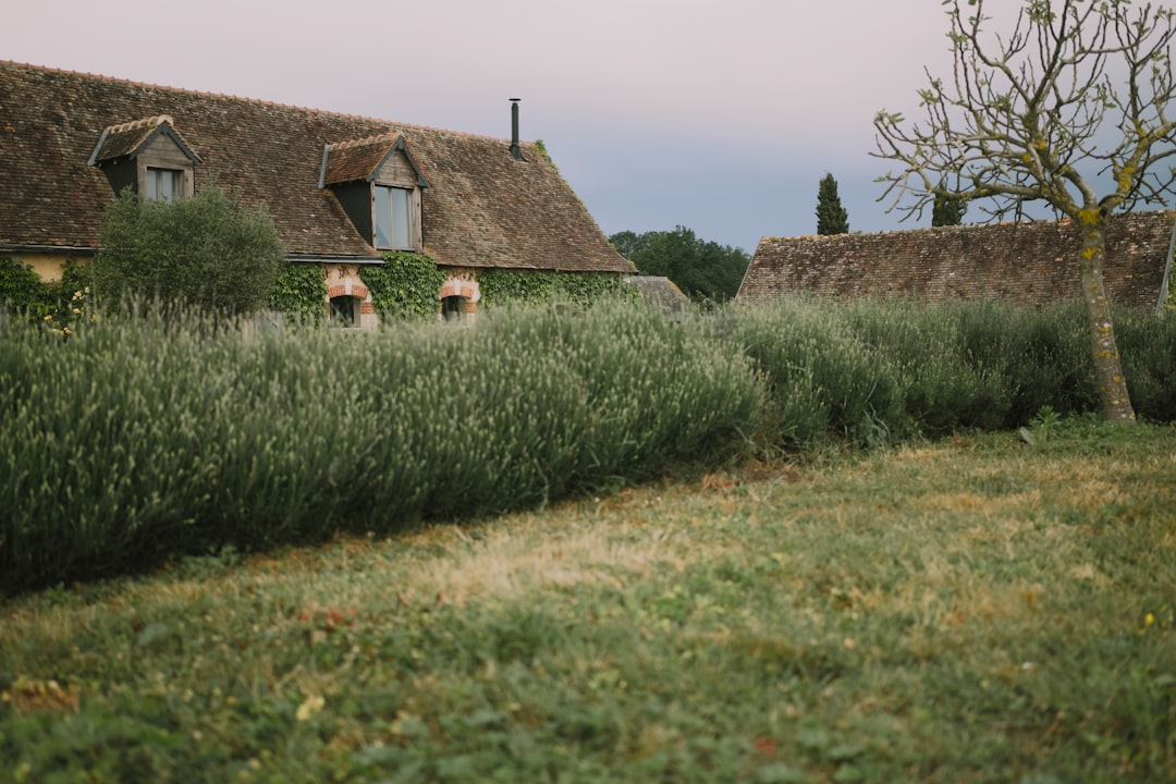 Vacances en famille dans les plus beaux villages de France
